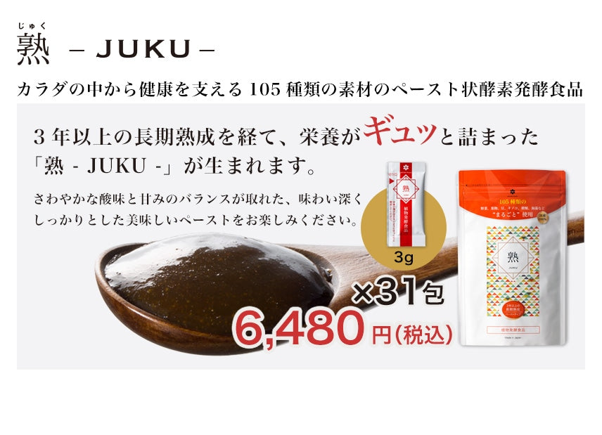 大和酵素の酵素ペースト 熟 JUKU 3g×31包 - 健康用品